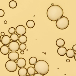 LIVING PROOF NO FRIZZ VANISHING OIL 50ML