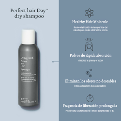 Perfect Hair Day (PhD) Dry Shampoo | SALON CULTURE