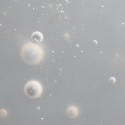 Scalp Care Dry Scalp Treatment | SALON CULTURE