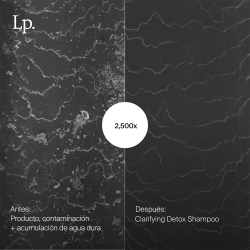 CLARIFYING DETOX SHAMPOO | SALON CULTURE