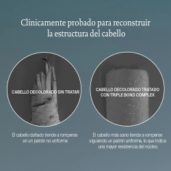 Living Proof - TRIPLE BOND COMPLEX