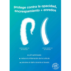 DAMAGE SHIELD pH protective shampoo | SALON CULTURE