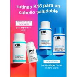 DAMAGE SHIELD protective conditioner | SALON CULTURE