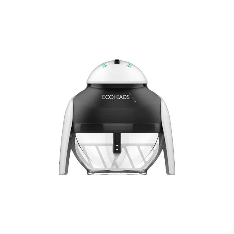 SALON CULTURE | THE PING ECOHEADS