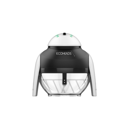 SALON CULTURE | THE PING ECOHEADS