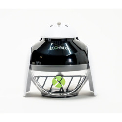 SALON CULTURE | THE PING ECOHEADS