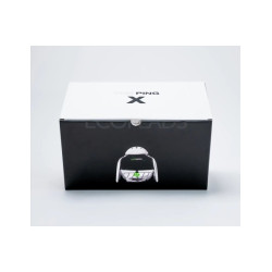 SALON CULTURE | THE PING ECOHEADS