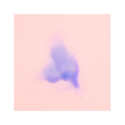 Bright Blonde Radiance & Repair Treatment | Beautiful Color | Oribe®