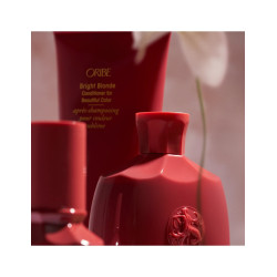 Bright Blonde Essentials Set | Packs | Oribe®