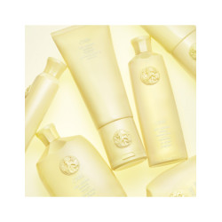 HAIR ALCHEMY RESILIENCE CONDITIONER